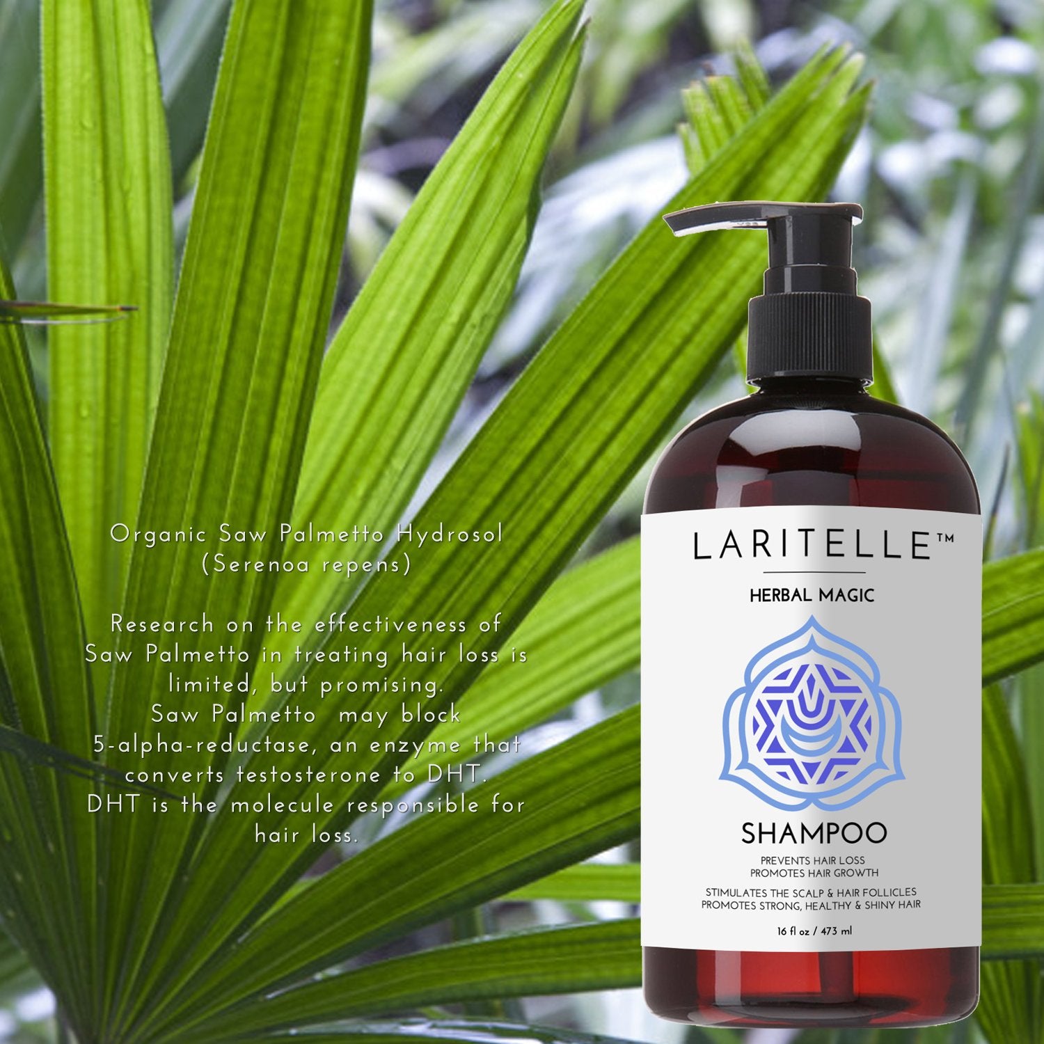 Laritelle Organic Unscented Hypoallergenic Shampoo 17.5 oz. Rosemary & Saw Palmetto. NO SLS/GMO/Parabens. GF